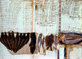 Wim Blom-Collage