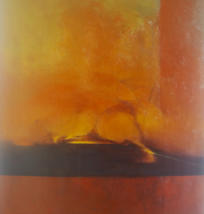 Wim Blom-Transformation 1972