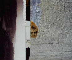 Wim Blom-collage I