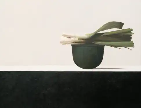Wim Blom- Leeks on a copper vessel 2010