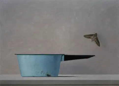 Wim Blom - Dipper and moth