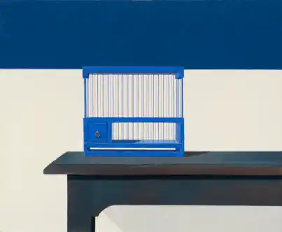 Wim Blom - Empty birdcage  .2013