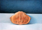 235-Wim Blom Carpage egg tempera