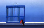 242-Wim Blom-Maroccon bird cage