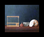Wim Blom-Empty birdcage and nautilus