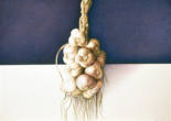 Wim Blom - 233-Garlic 2001 egg tempera