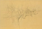 Wim Blom - A dry fig tree.2010