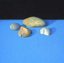 Wim Blom - Rocks and shells