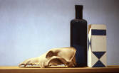 Wim Blom - Skull and dusty bottle