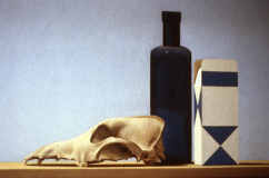   Wim Blom - Skull and dusty bottle 1983  -22”x26” 