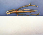 Wim Blom - Tied twigs 1998 egg tempera on paper