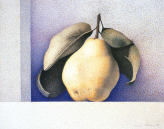 Wim Blom Pear egg tempera