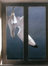 Wim Blom Seagull