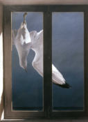 Wim Blom Seagull