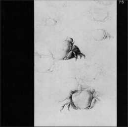 Wim Blom Kaleidoscope 1977